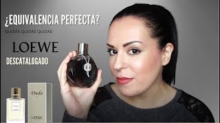 🚨¿LA EQUIVALENCIA PERFECTA DE QUIZÁS QUIZÁS DE LOEWE 🚨PERFUME DESCATALOGADO😱 [upl. by Lesde]