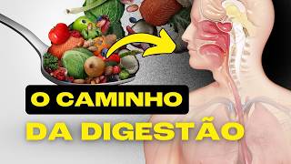 Digestão  O Caminho do Alimento Pelo Corpo [upl. by Somerville]