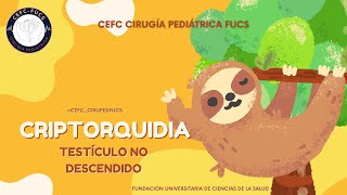 CRIPTORQUIDIATESTICULO NO DESCENDIDO [upl. by Marigolda888]