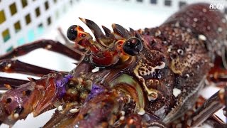 Christmas Lobster  Japanese Street Food [upl. by Belita]