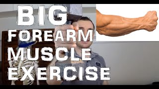 How to Workout the Brachioradialis Muscle for Bigger Forearms [upl. by Yrellav322]