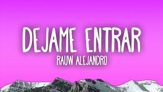 Rauw Alejandro  Dejame Entrar [upl. by Dewar]