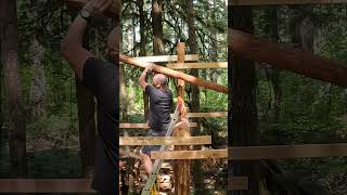 Log Woodshed Build  Full Video on My Channel shorts [upl. by Eddana]