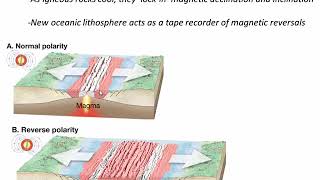 Magnetic Anomalies and Plate Reconstruction C2V2 [upl. by Nairadas993]