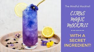 Citrus Magic Mocktail Recipe  Summer Mocktails and NonAlcoholic Cocktails  The Mindful Mocktail [upl. by Allesig]