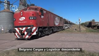 Lindo tren de Belgrano Cargas y Logística Línea San Martín con ALCo FPD7 pasando por Carmen [upl. by Haduhey]