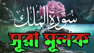 সূরা মূলক তেলাওয়াত। سورة الملك। Surah Waqiah Best Recitation Quran Tilawat by Liakot Ali। [upl. by Quinn]