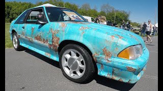 Chocolate Fox 2023 All Fox Body Show [upl. by Eseela]