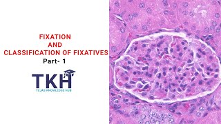 Fixation and Classification of Fixatives Part 1  Properties of fixative  Histopathology  DMLT [upl. by Cadmann251]