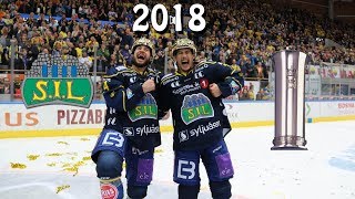 STORHAMAR HOCKEY VINNER NMGULL 2018 [upl. by Idaf]