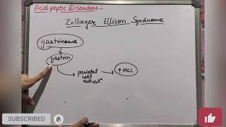 Zollinger Ellison syndrome  Acid Peptic Disorders  Kayachikitsa  Geetaru Shanjalii  Ayurveda [upl. by Tench]