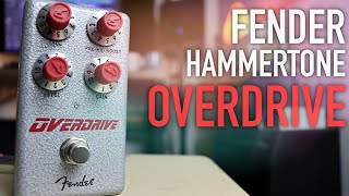 Fender Hammertone OVERDRIVE Demo  Mix Breakdown [upl. by Nurat]