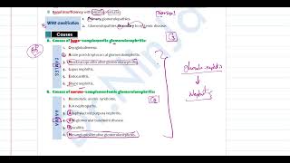 Glomerulonephritis revision [upl. by Annairam]