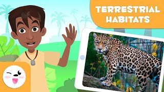 Explore Terrestrial Habitats  Types of Habitats for Children [upl. by Clie]