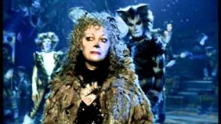 Grizabella The Glamour Cat  Elaine Paige HD from Cats the Musical  the film [upl. by Robena]