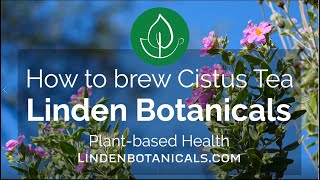 How to Brew Cistus Tea  Linden Botanicals [upl. by Odetta]