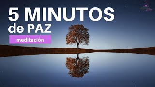 🙏🏻 MEDITACION guiada 5 minutos de PAZ Interior y PAZ MENTAL✨ Meditacion Express [upl. by Asir705]