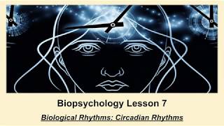 ALevel Psychology AQA Biopsychology  Circadian Rhythms [upl. by Enelrahs129]