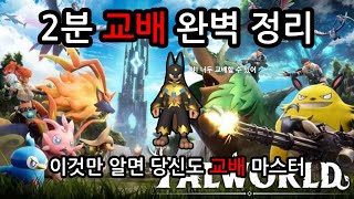 팰월드 2분 교배 완벽 정리 [upl. by Eniretak]