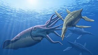 Extinct Squid Sounds [upl. by Anaile278]