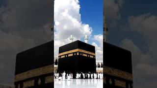 YA RABBIL MY MUSTAFA TU MUJHE HAJ PE BULAshorts reels naat allah islamicststus ISLAMICREELS [upl. by Ruby]