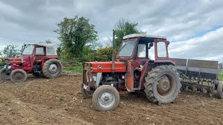 sowing oats with massey 100 series [upl. by Yelnats]