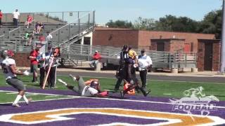 HARDINSIMMONS vs SUL ROSS 2016 HIGHLIGHTS [upl. by Lednek]