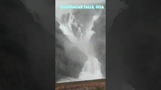 The ABSOLUTE BEST Way to Experience Dudhsagar Falls INDIA [upl. by Cassandre]