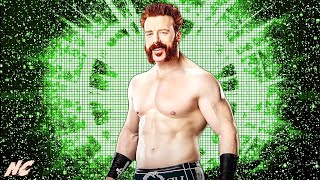 WWE quotWritten In My Facequot w Hellfire Intro Sheamus 2024 NEW Theme Song Arena Effect  ᴴᴰ [upl. by Threlkeld]