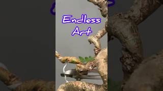 Making Bonsai Trees Is Like Educating Children [upl. by Faxon]