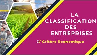 📌EOAE 1ère Bac Sc Eco  Lentreprise et son Environnement 15 👉 Classification Ese selon lactivité [upl. by Schwejda]