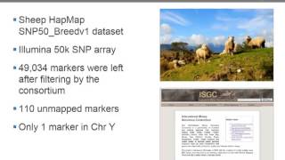 Mixed Models How to Effectively Account for Inbreeding and Population Structure in GWAS [upl. by Mel]