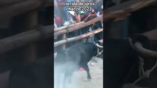 fiesta taurina chacco 2023 ayacucho toros [upl. by Farika272]