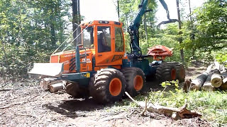 🌲🌲🌲 Best of KWF Tagung 2012 Bopfingen 🌲🌲🌲 [upl. by Jessee]