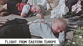 Flight and Expulsion of Germans from Czechoslovakia 1945 [upl. by Anilrahc676]