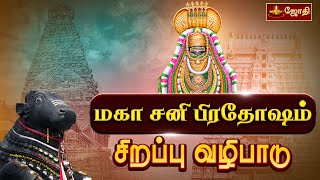 விதியை வெல்லும் சனி மகா பிரதோஷ வழிபாடு  Sani Pradosham பல்வேறு கோயில்களில் இருந்து  Jothitv [upl. by Akemaj238]