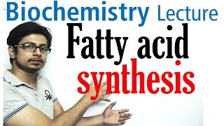 Fatty acid synthesis [upl. by Norry]