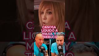 CANOSA LIQUIDÓ A PERIODISTAS CHUPAMEDIAS DE MILEI canosa milei majul trebucq chupamedias [upl. by Karisa]