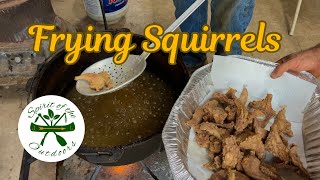 Frying Squirrel [upl. by Amabel]