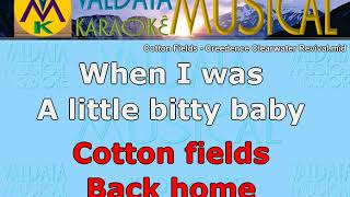 Cotton Fields Creedence Clearwater Revival Karaoke [upl. by Airbmat644]