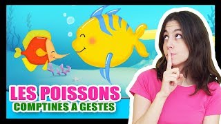 Les petits poissons dans leau  Comptines à gestes pour les bébés  Titounis [upl. by Horowitz]