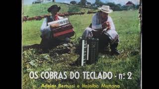 Recordações  Os Cobras do Teclado [upl. by Seibold]