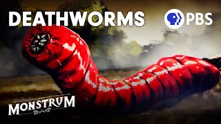 Death Worms Fact or Fiction  Monstrum [upl. by Nodnahs742]