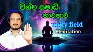 විශ්ව සමාධි භාවනාව Unify filed meditation  Deegoda kumara Gurudev [upl. by Eidnarb]