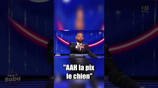 Mélenchon insulte Zemmour de chien qui doit retourner à la niche shorts zemmour melenchon [upl. by Abby]