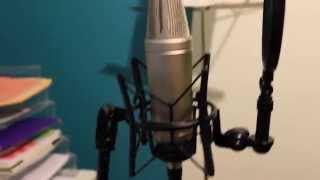 Set Up Rode NT2A Microphone [upl. by Berstine273]