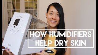 How Humidifiers Help Dry Skin [upl. by Hilten59]