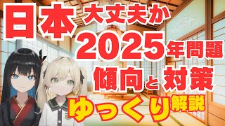 【日本社会問題解説】2025年問題を乗り越えるための準備：日本の未来と私たちの対策 [upl. by Akin391]