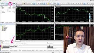 MetaTrader 5 Основные окна торговой платформы [upl. by Hanson228]