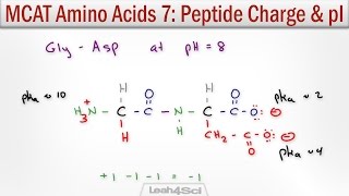 How to Calculate Peptide Charge and Isoelectric Point MCAT Trick [upl. by Beitnes516]